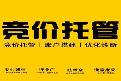 百度搜索推广实战：经典案例深度剖析